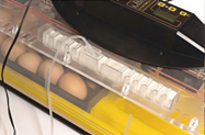 Brinsea Octagon 40 Advance incubator