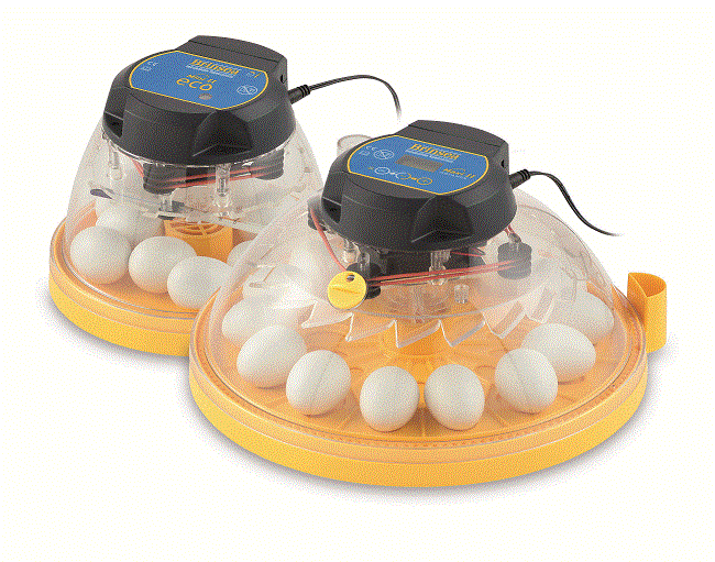 New Brinsea Mini II and Maxi II egg incubators