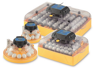 New Brinsea Mini Maxi and Ovation Egg Incubators