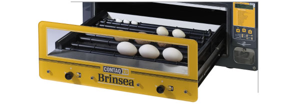 Brinsea Contaq Z6 contact incubator