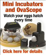 OvaScope Egg Candler