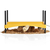 EcoGlow Safety 1200 Chick Brooder