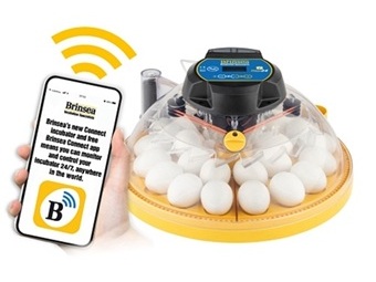 Brinsea Expands Its Line of App-Controlled Incubators with the Maxi 24 EX Connect