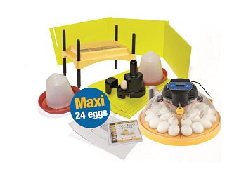 Ovation 28 Classroom Pack