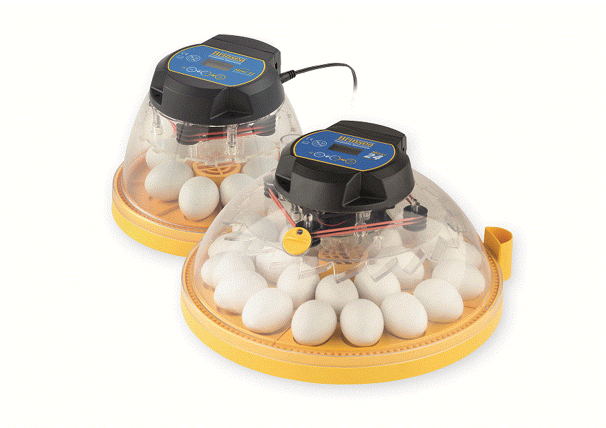 Mini II Eco Manual 10 Egg Incubator