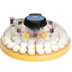 Maxi 48 Advance fully digital 48 egg incubator