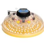 Maxi 48 Zoologica exotic egg incubator