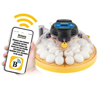 Maxi 24 EX Connect fully automatic digital egg incubator with app