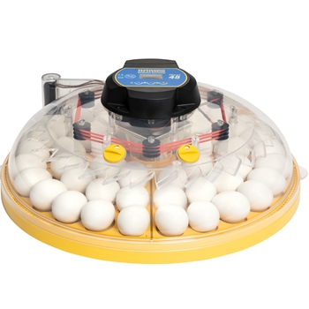 Maxi 48 Advance fully digital 48 egg incubator
