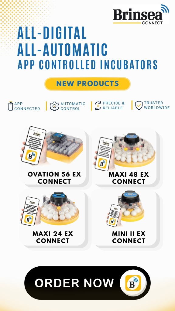 Brinsea App Controlled Incubators