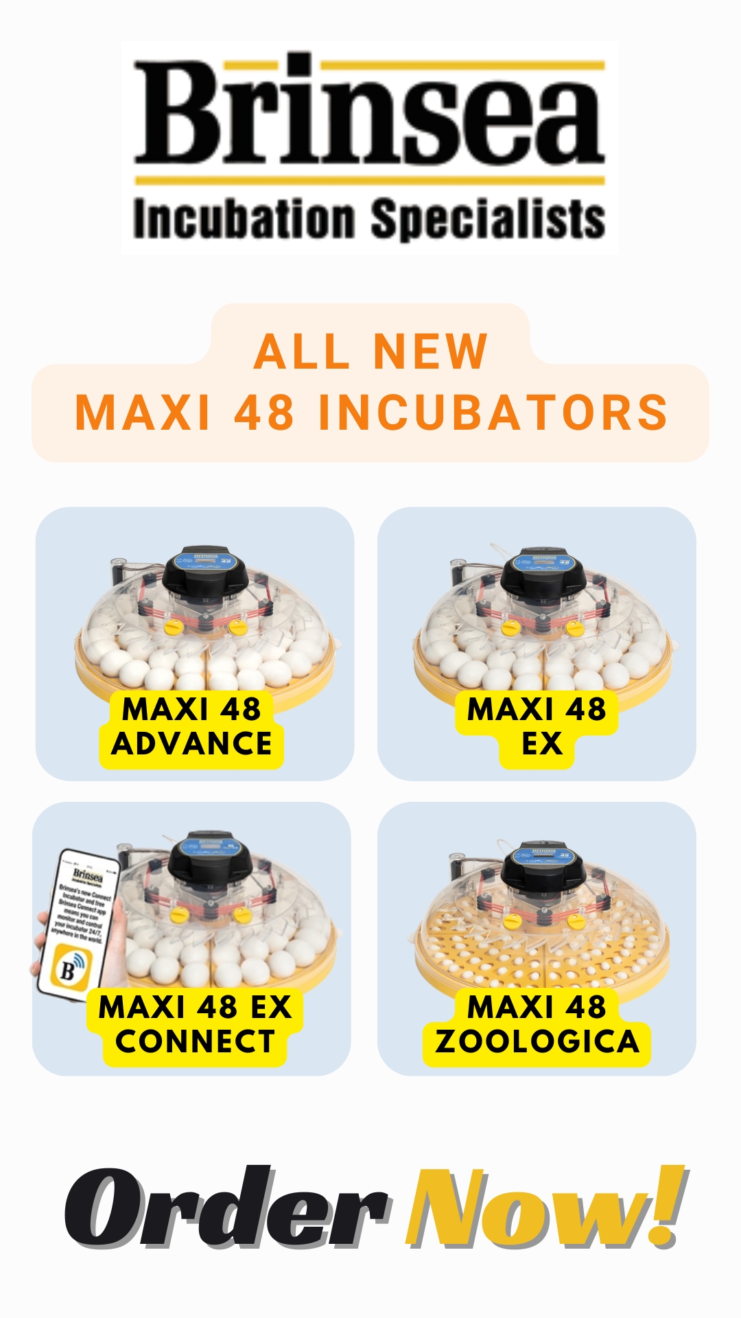 Brinsea Maxi 48 Incubator
